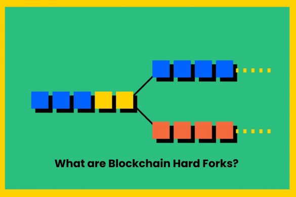 What are Blockchain Hard Forks_