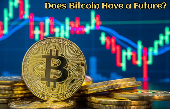 Does Bitcoin Have a Future?